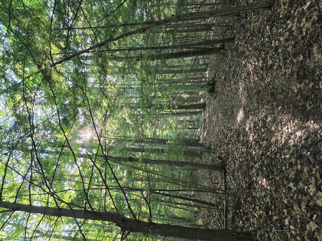 Kangaroo Lake Nature Preserve-Baileys Harbor必去景点