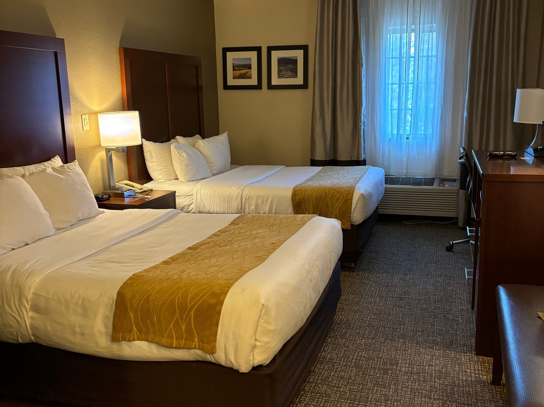 Comfort Inn I-17 & I-40主图