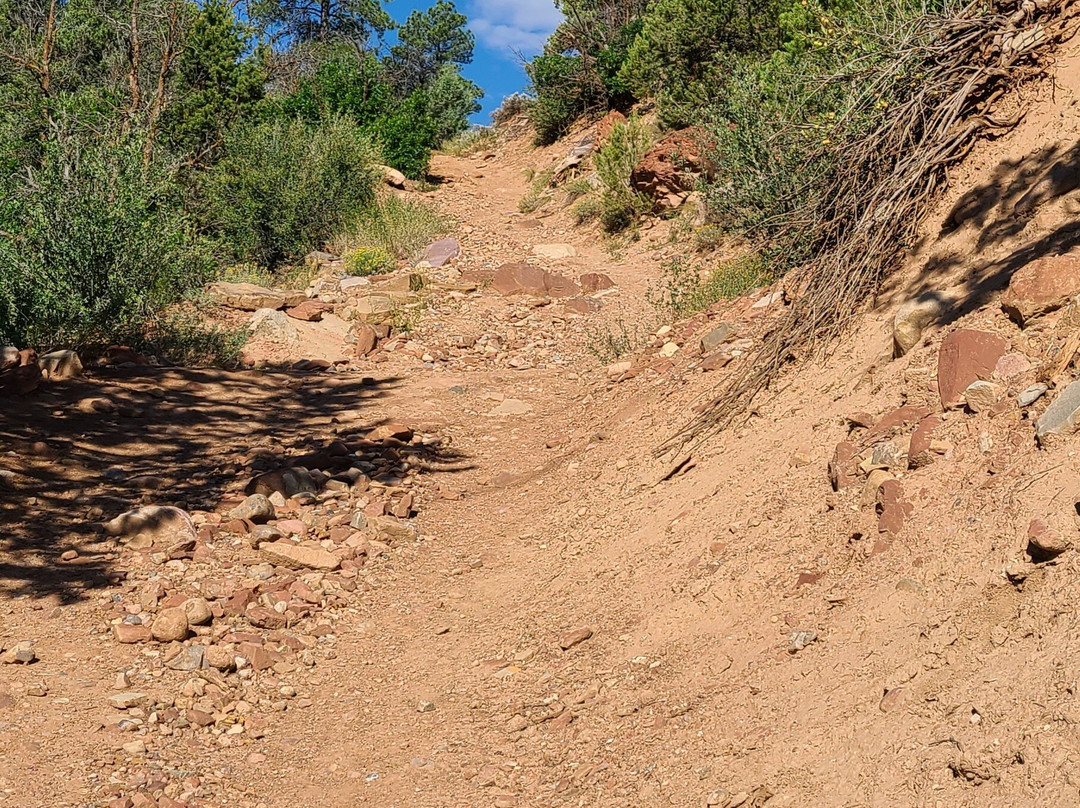 Animas Mountain Trail-杜兰戈必去景点
