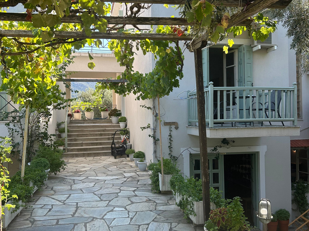 Pansion Prodromina主图