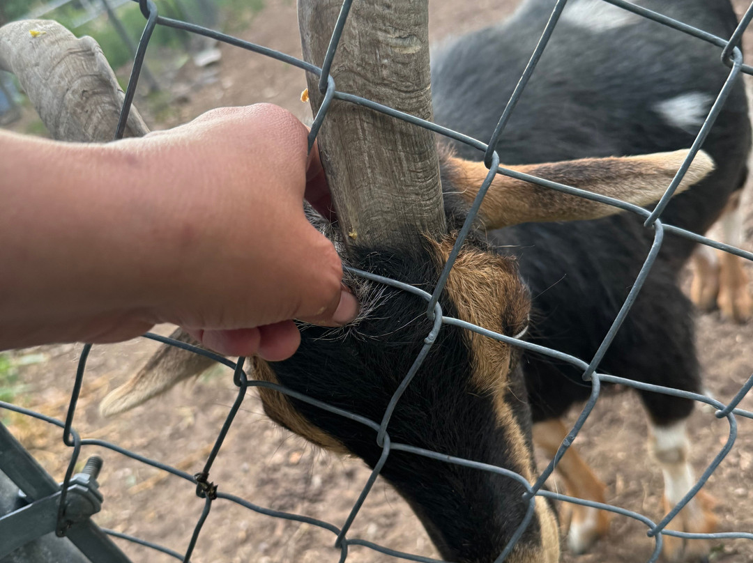 Red Horse Bed and Breakfast主图