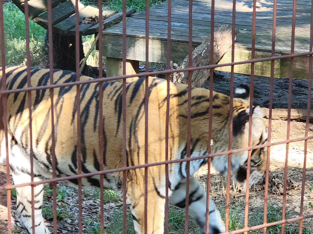 Crown Ridge Tiger Sanctuary Lodging主图