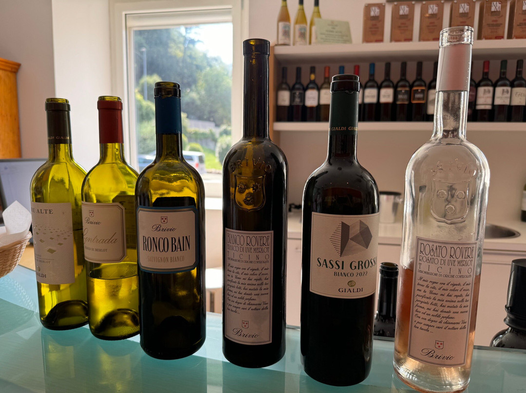 Gialdi Vini SA-门德里西奥必去景点