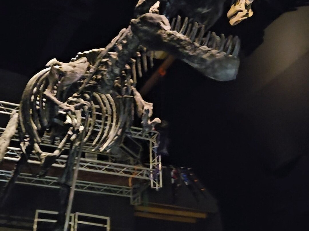 A World of Dinosaurs-卡尔马必去景点