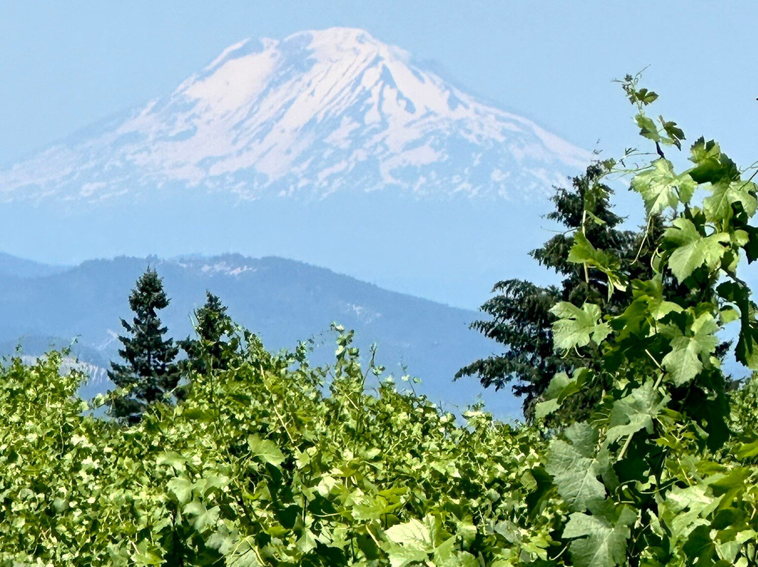 Hood River Lavender Farms-胡德里弗必去景点