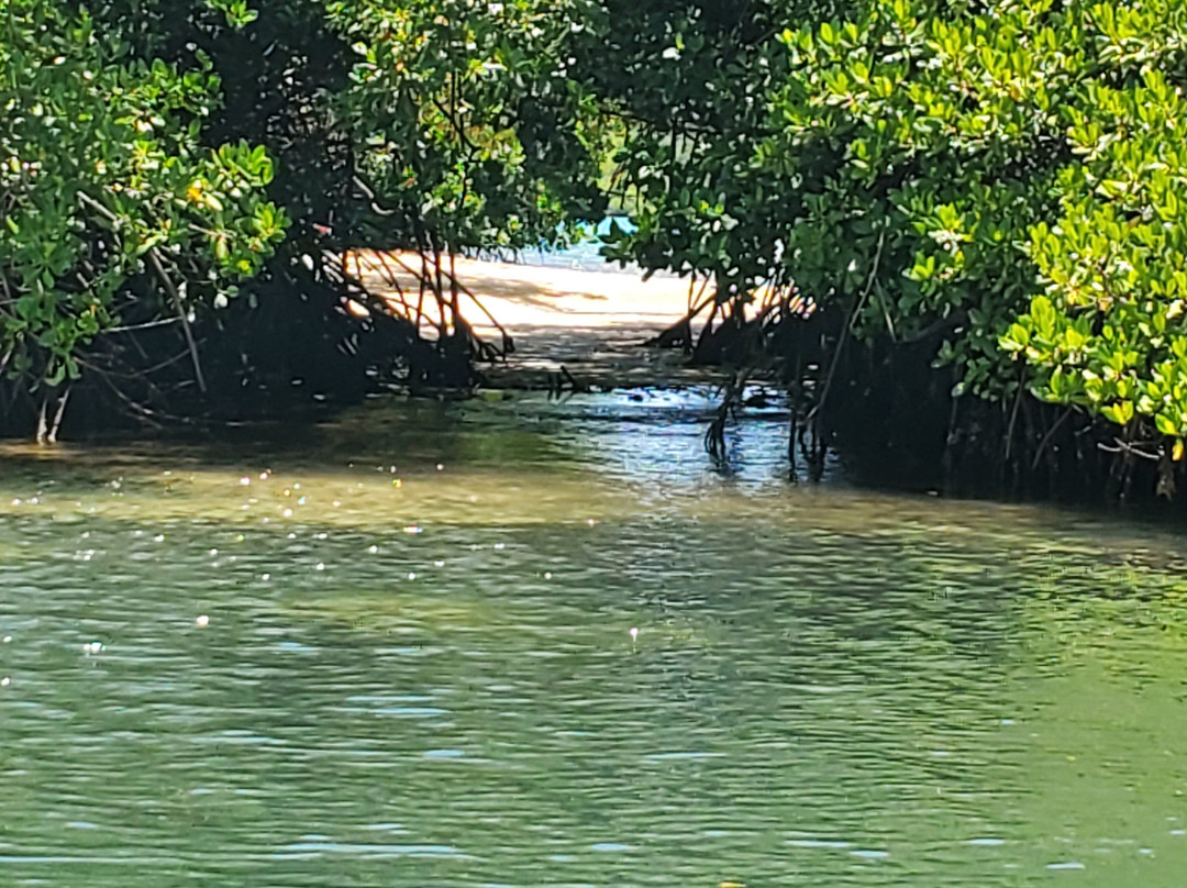 Privilèg'G-Le Francois必去景点