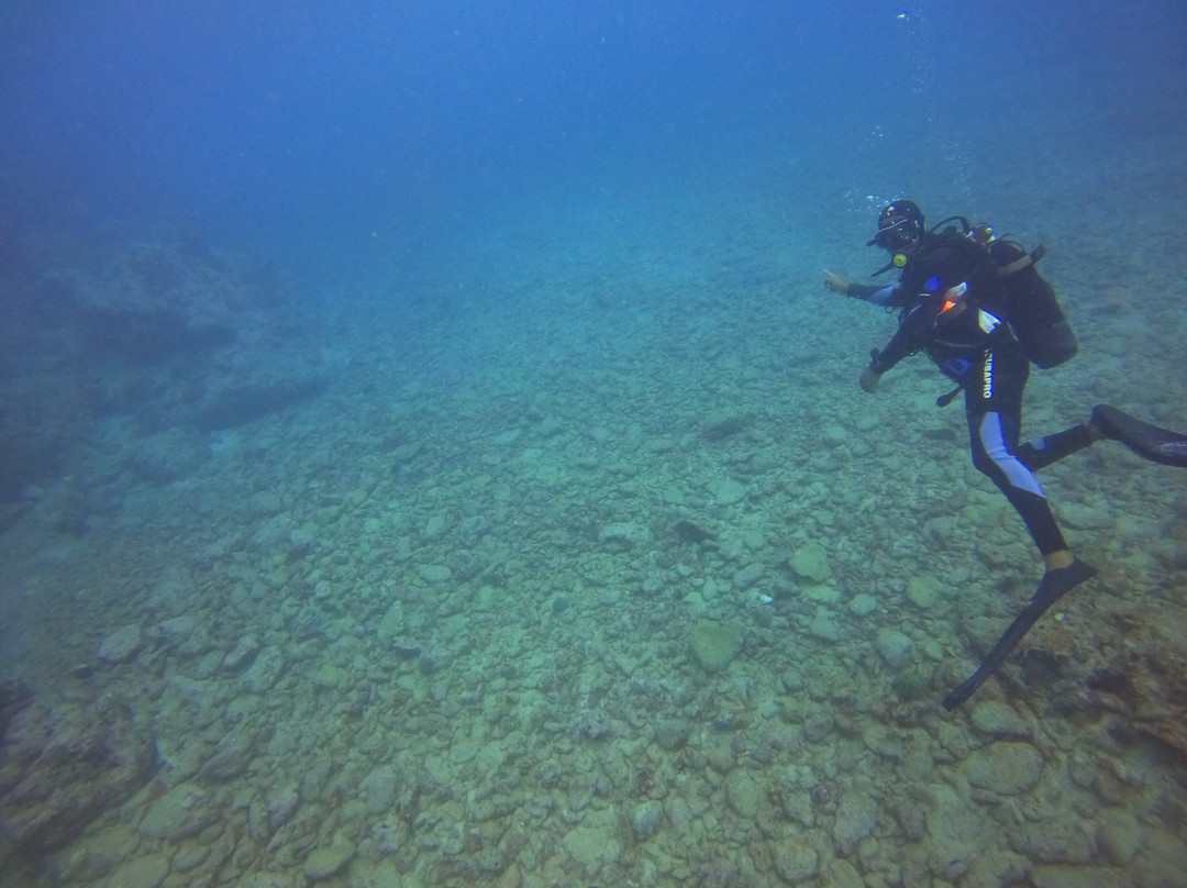 Crystal Diving Centre景点图片