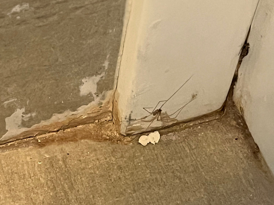 Holiday Inn Express Milwaukee-West Medical Center by IHG主图