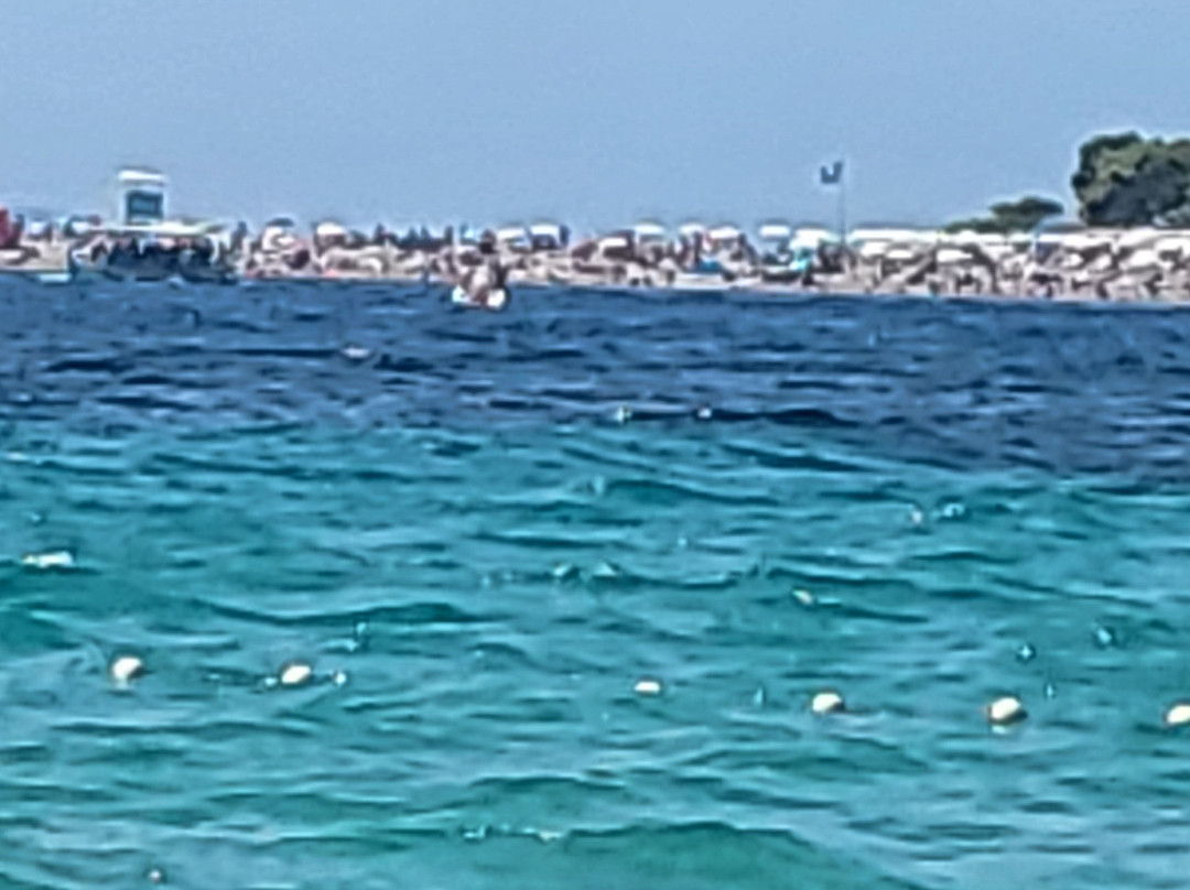 Villa Mediterranea主图