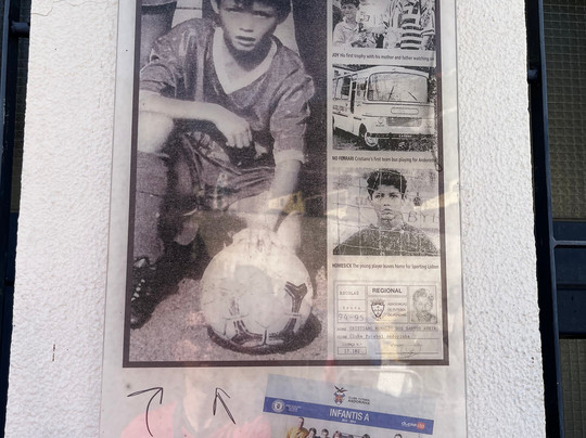 Tuk Madeira City Tours-沙尔必去景点