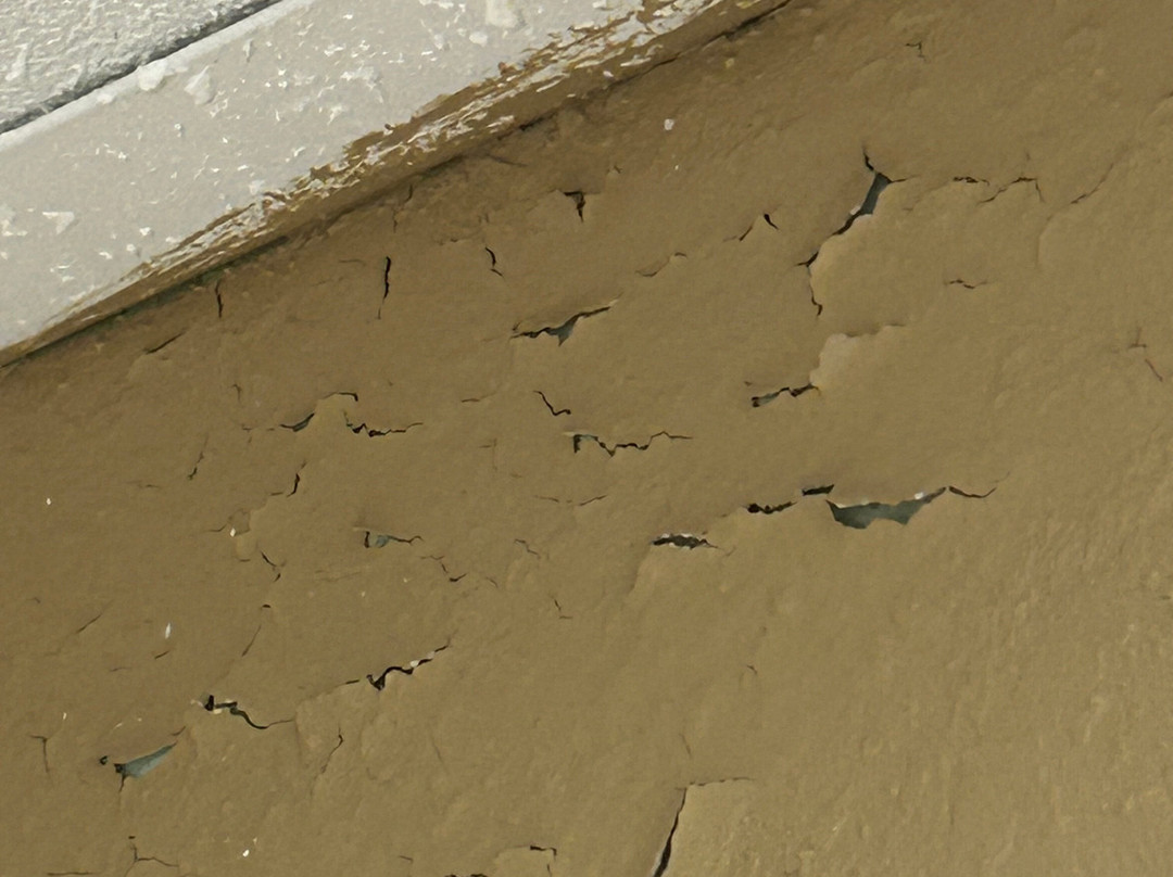 SureStay Plus By Best Western Roanoke Rapids I 95主图