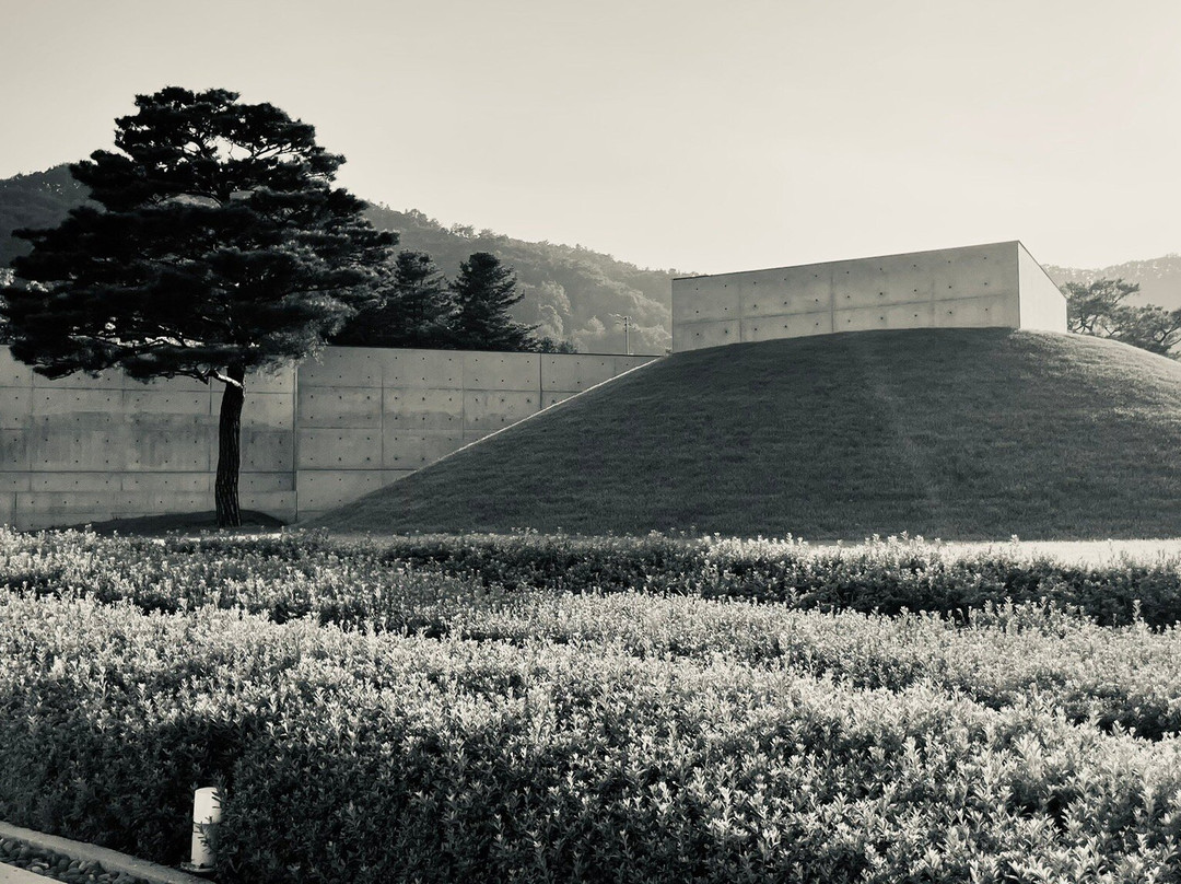 Museum SAN-原州市必去景点