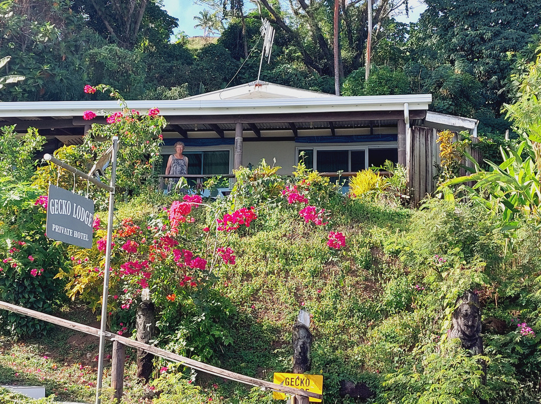 斐济壁虎山林小屋主图