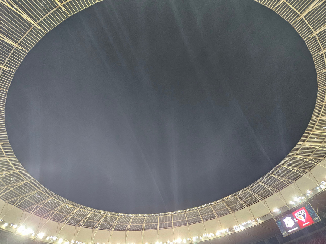 Estádio Nacional Mané Garrincha-巴西利亚必去景点