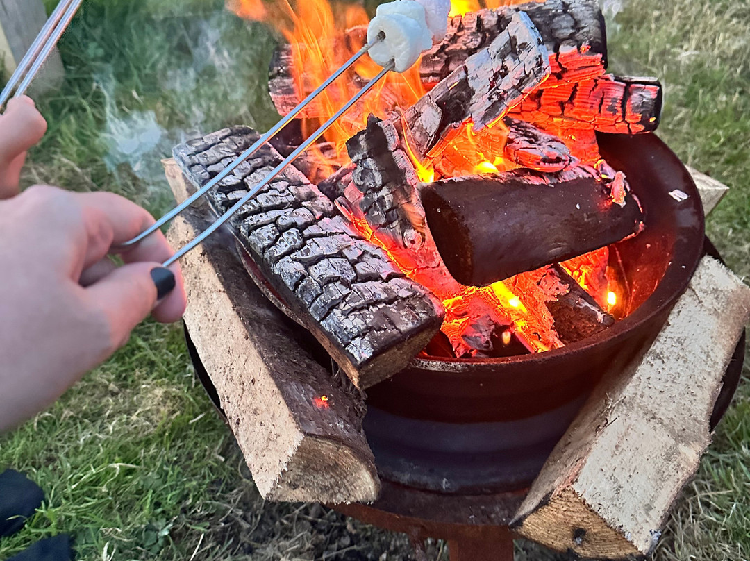 Green Sheep Camping