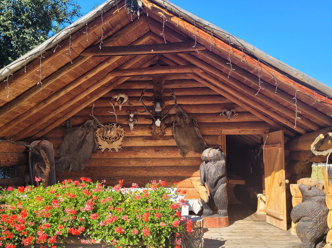 Inima Bucovinei主图