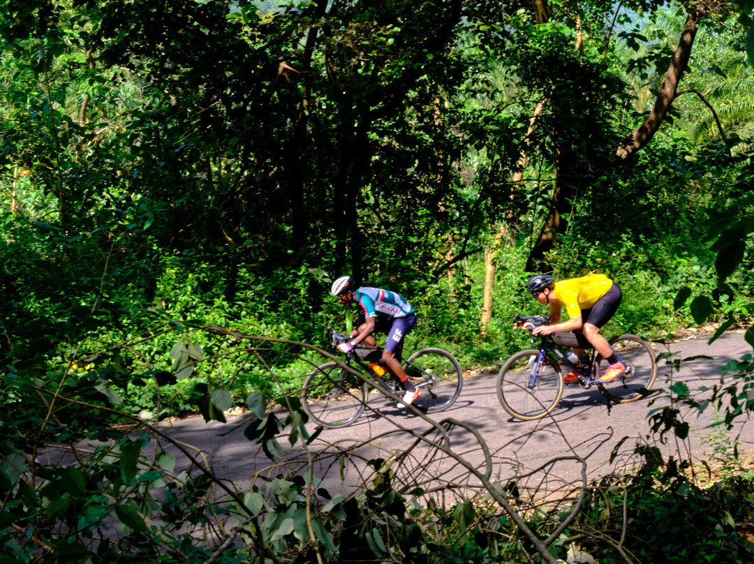 Sierra Leone Adventure Cycling Tours-Lunsar必去景点