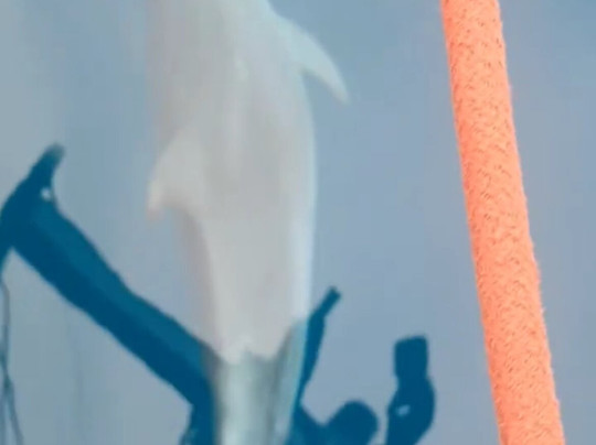 Boat Trips “Profeta” Barco Benalmádena-班纳玛德纳必去景点