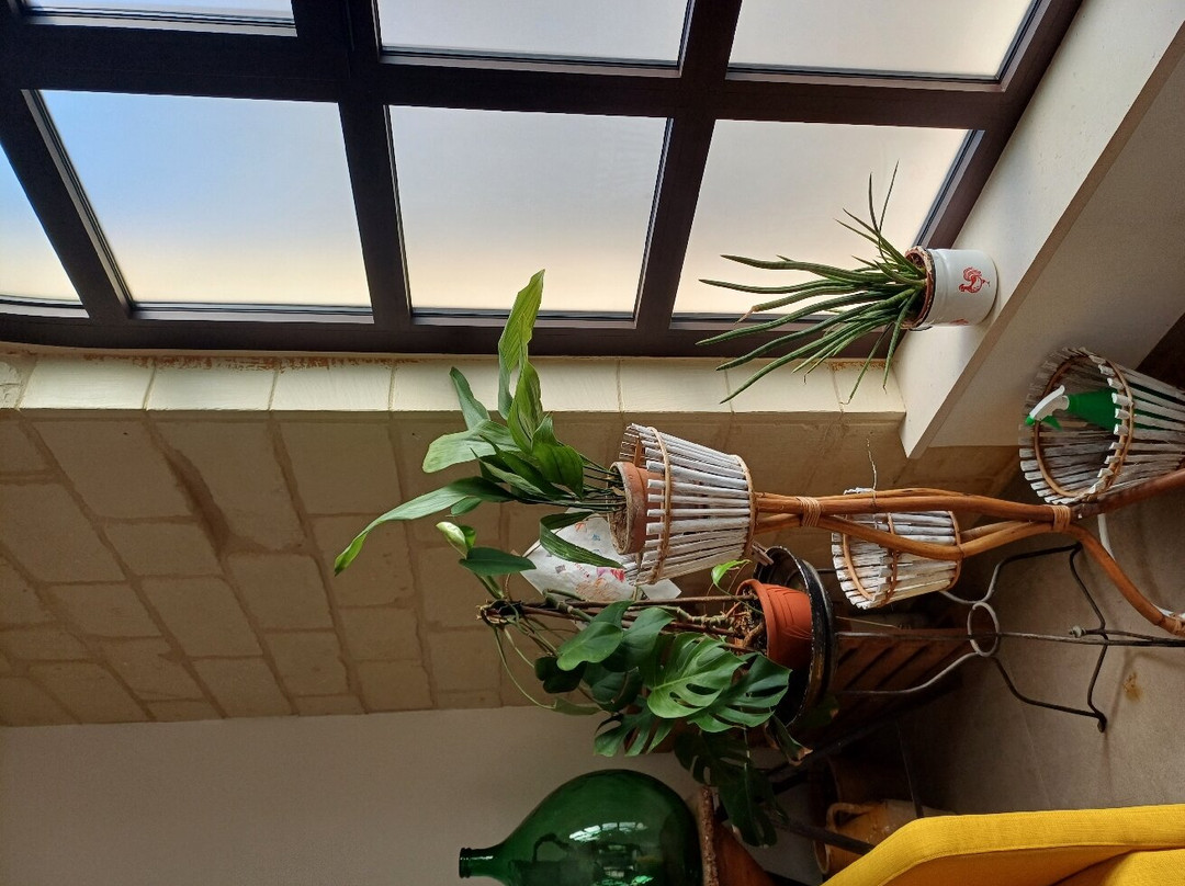 La Muzza Bed & Breakfast主图