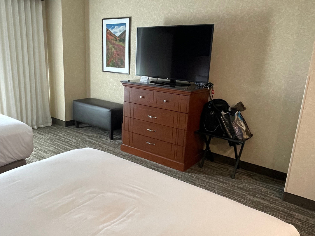 Drury Plaza Hotel Denver Westminster主图