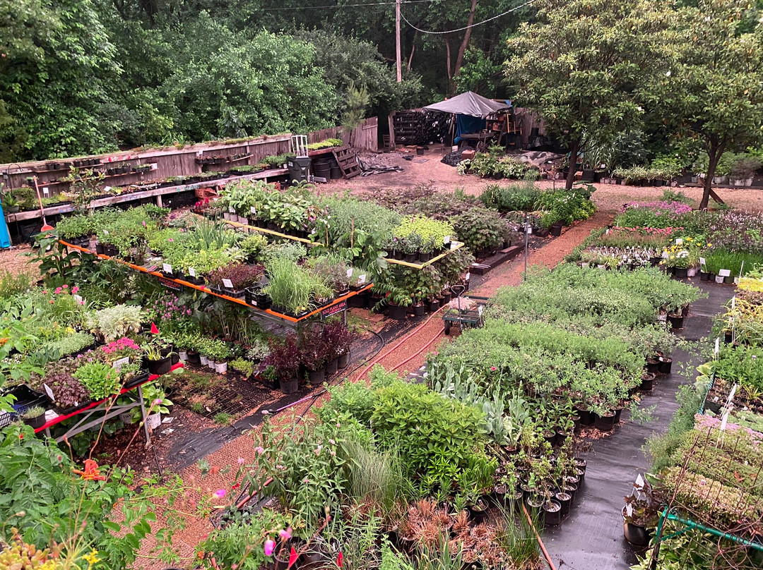 Kansas Plant Farm-劳伦斯必去景点