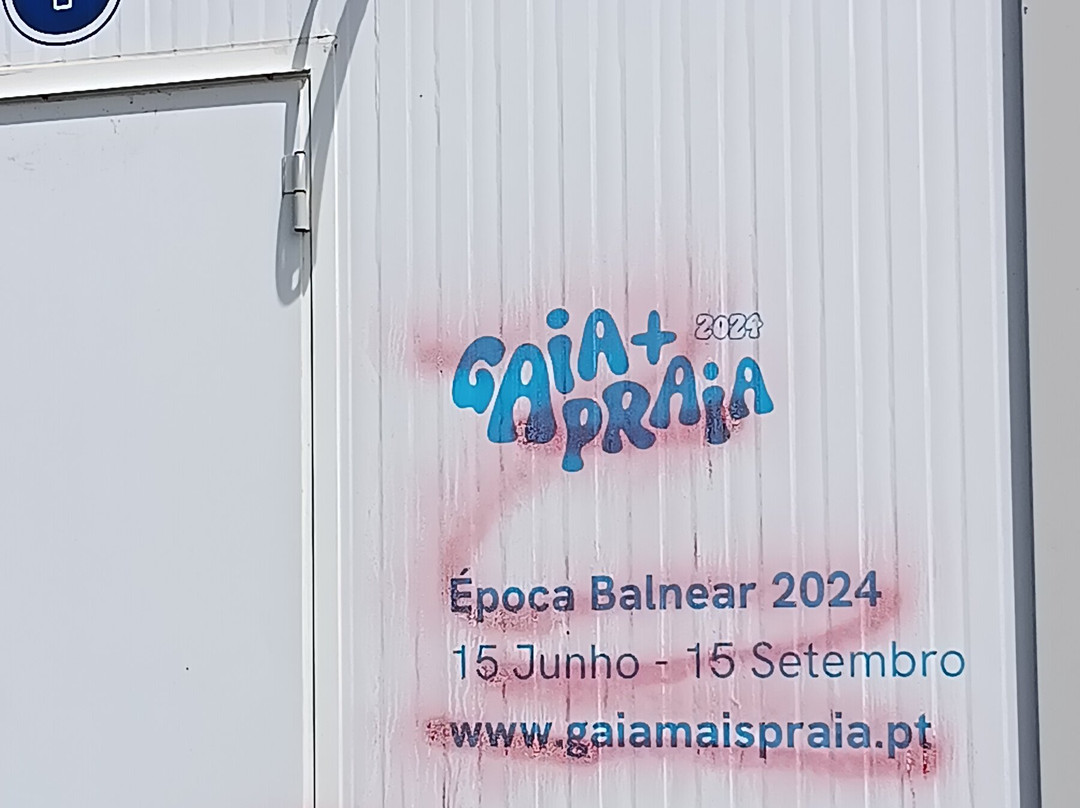 Praia da Madalena-加亚新城必去景点