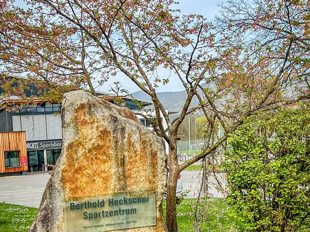 Eisstadion Deggendorf