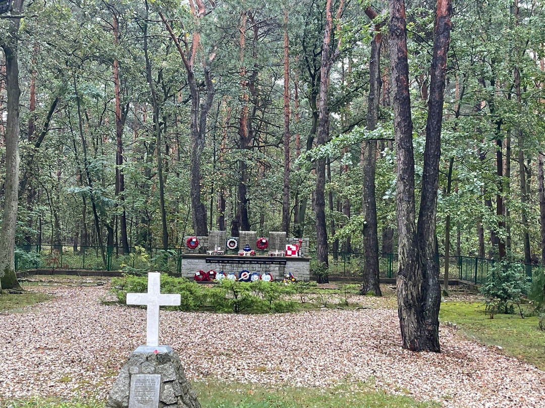 Stalag Luft 3 & Stalag Viiic Pow Camps Museum景点图片
