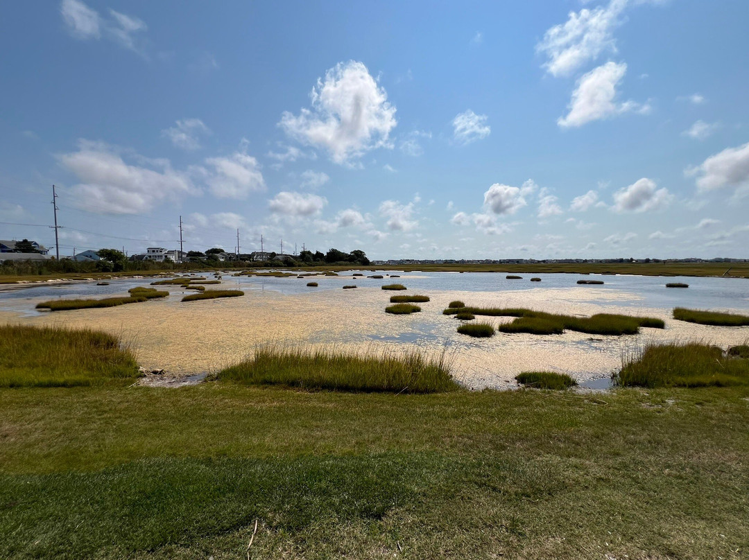 The Wetlands Institute景点图片