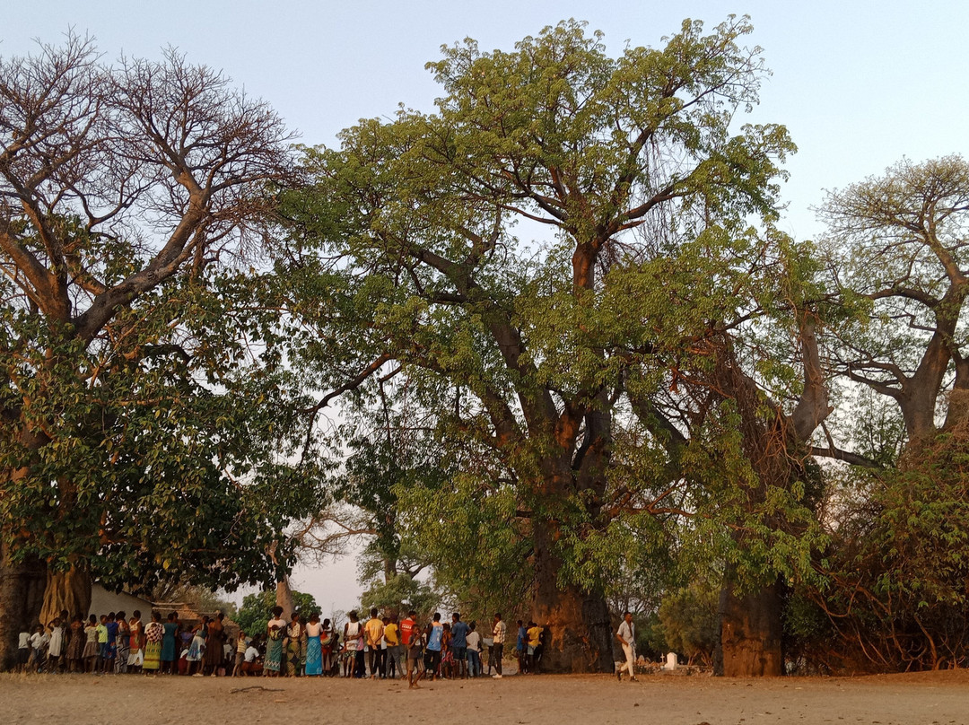 Sunday Williams Tours-Monkey Bay必去景点