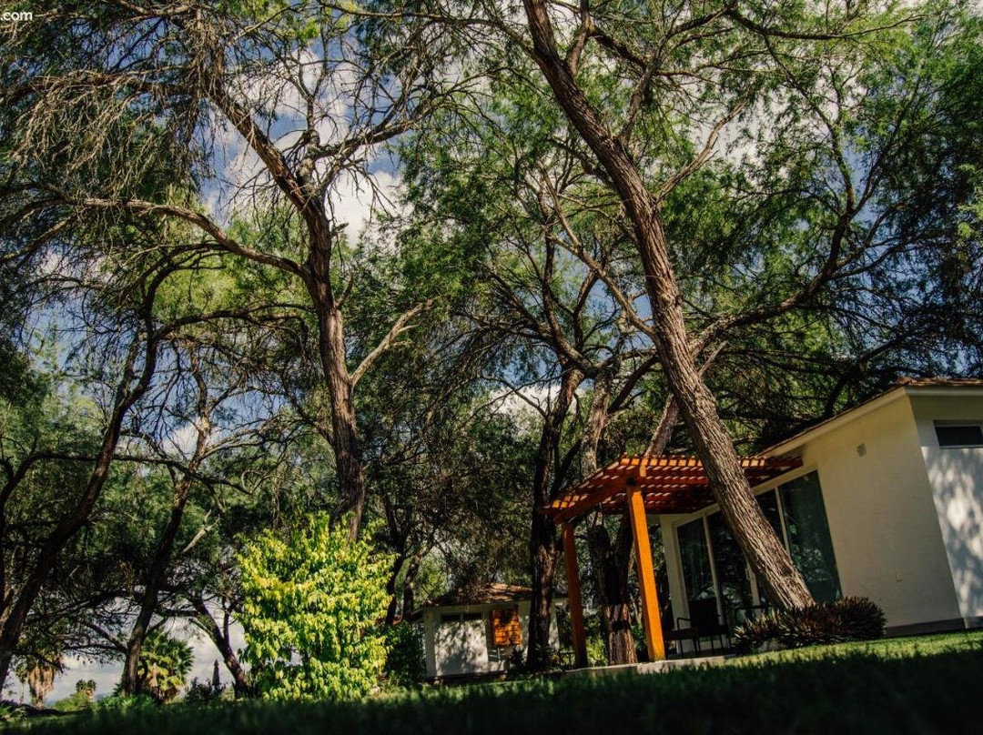 Hotel Los Lirios主图