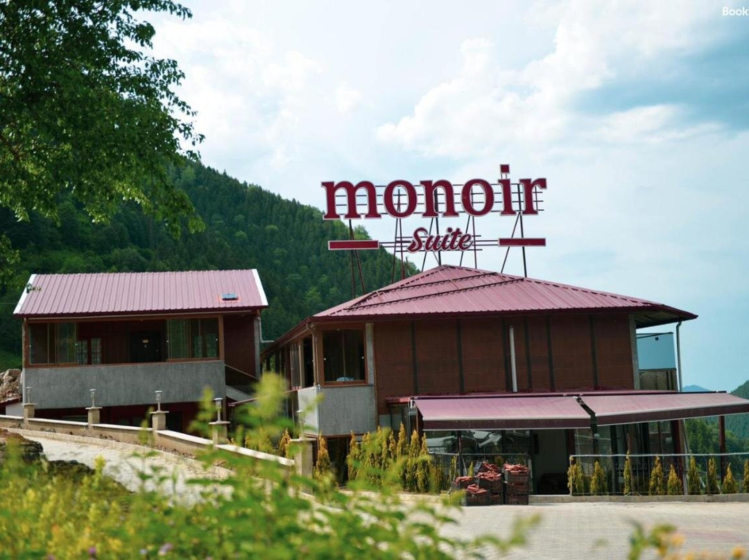 Monoir Suite
