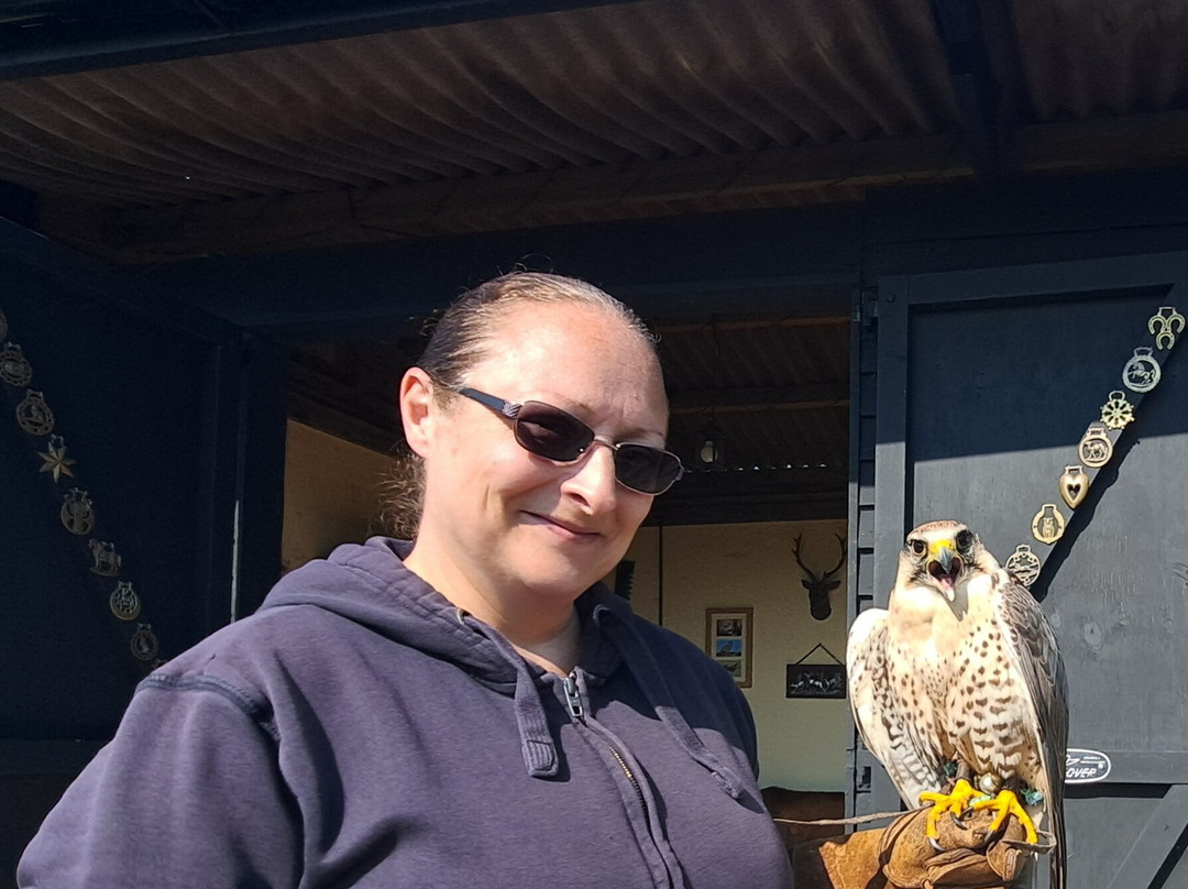 Hawkridge Bird Of Prey Centre-埃克斯茅斯必去景点