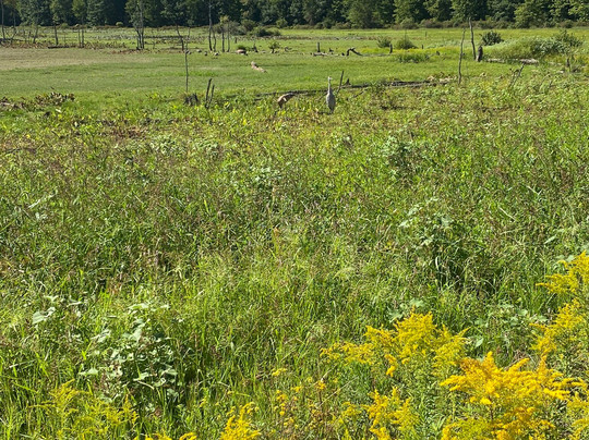 Sandy Ridge Reservation-North Ridgeville必去景点