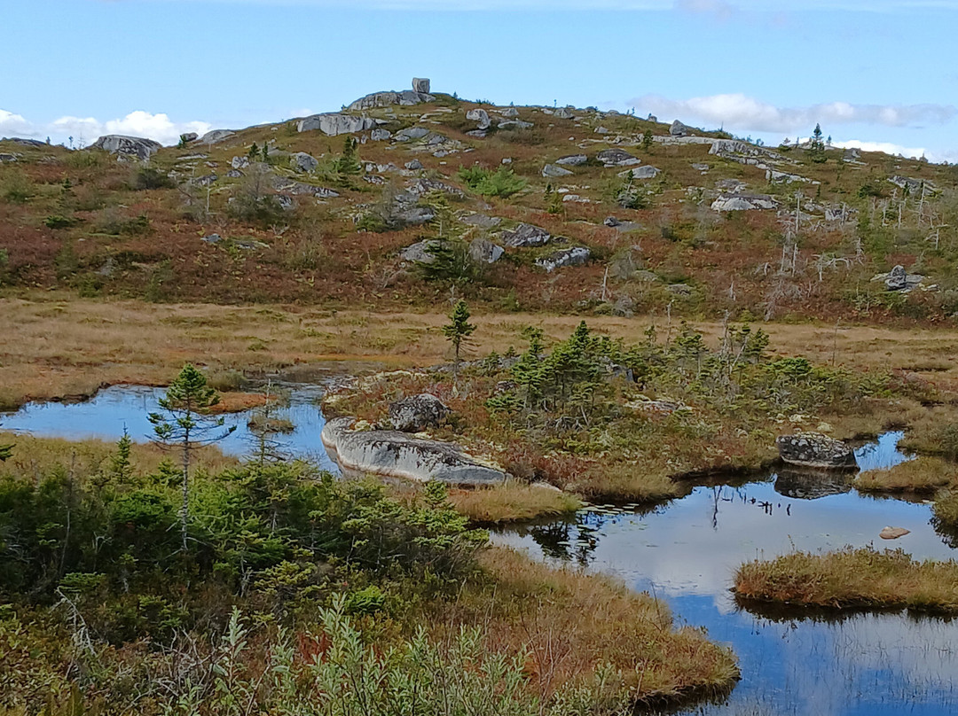 Clifty Cove Motel主图