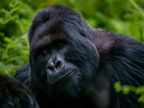 Let's Go Travel-坎帕拉必去景点