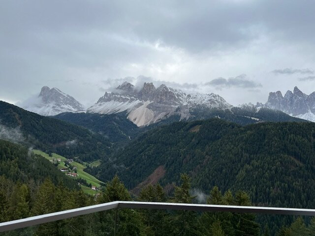 Forestis Dolomites主图