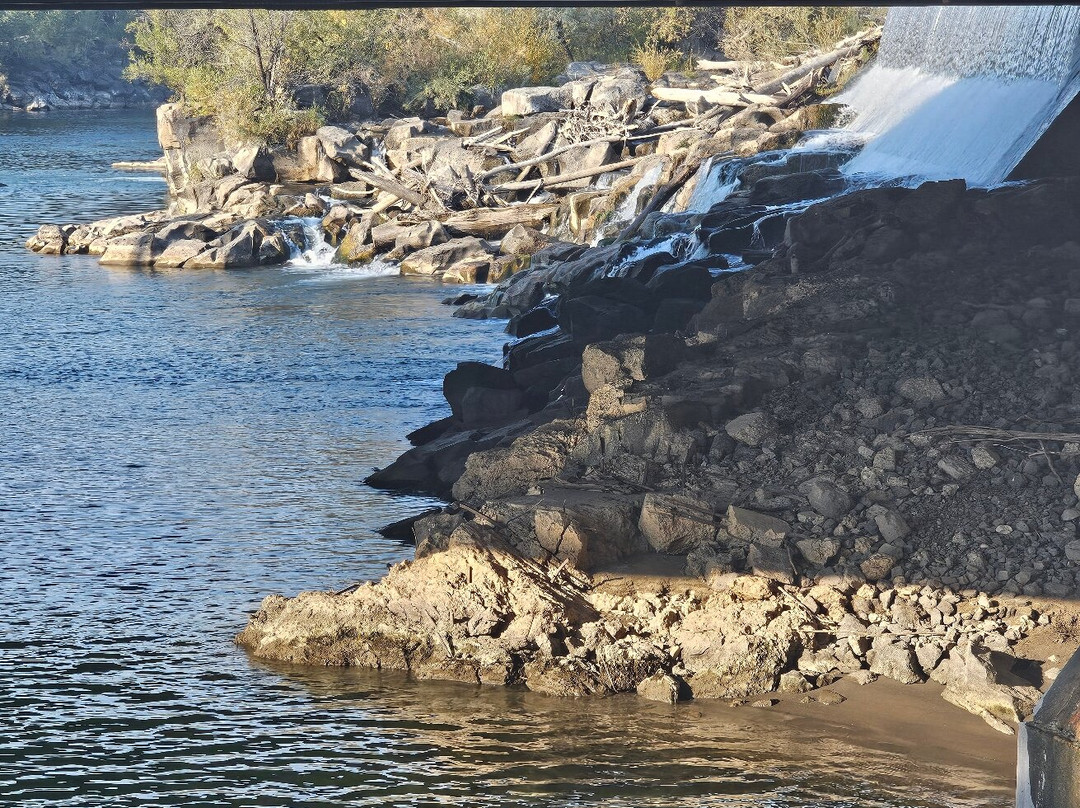 Residence Inn by Marriott Idaho Falls主图