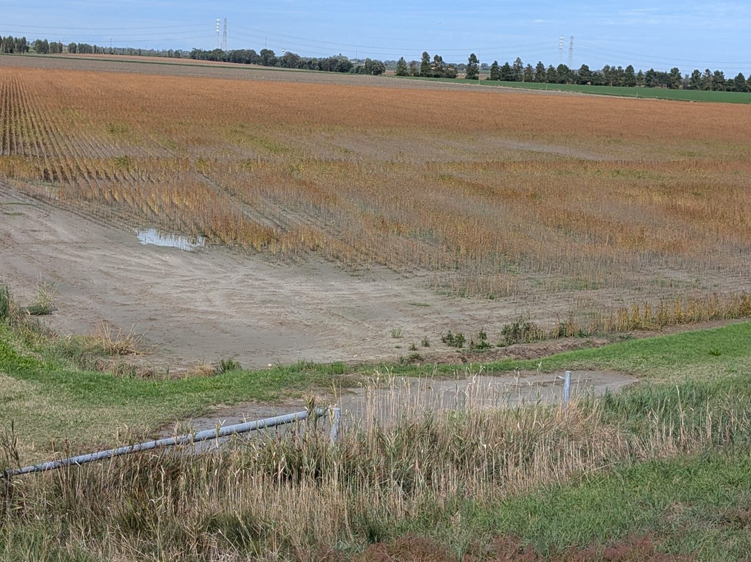 Parco Delta Del Po景点图片