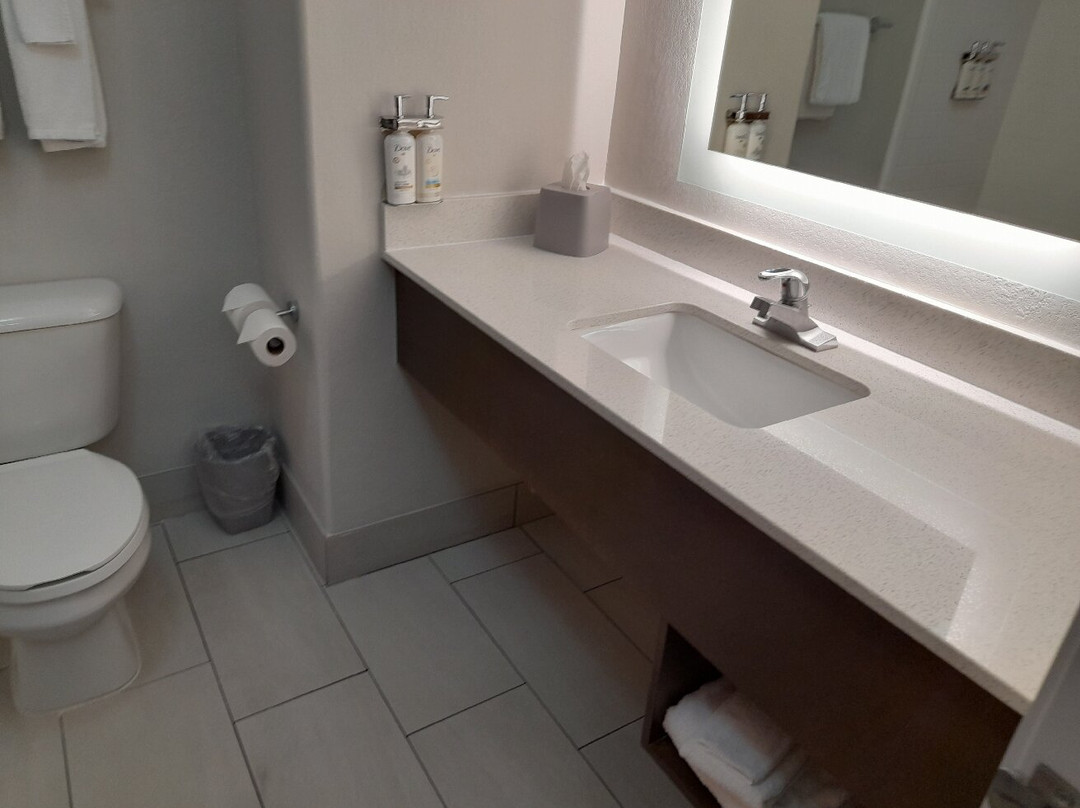 Holiday Inn Express & Suites Lafayette-south By IHG主图