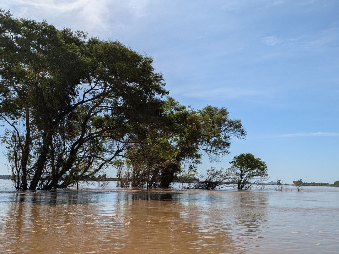 Dolphin Kayaking Adventures-Kratie必去景点