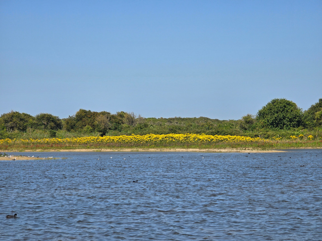 Reserve Naturelle Du Platier D'Oye景点图片
