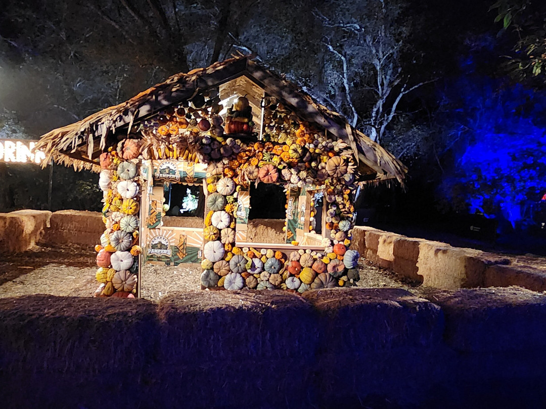 Descanso Gardens-拉肯纳达石岭必去景点