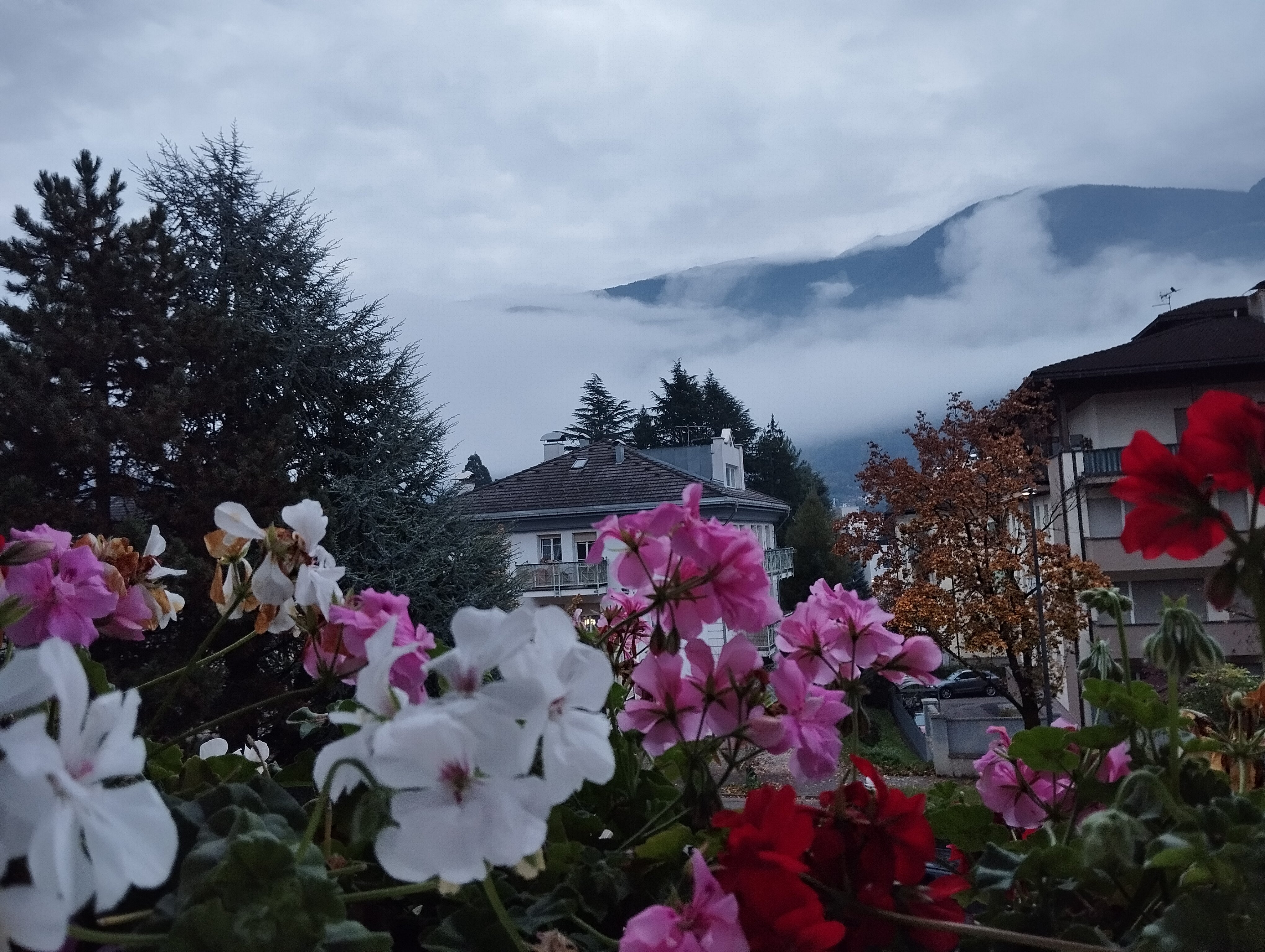 Hotel Garni Heiseler-官方