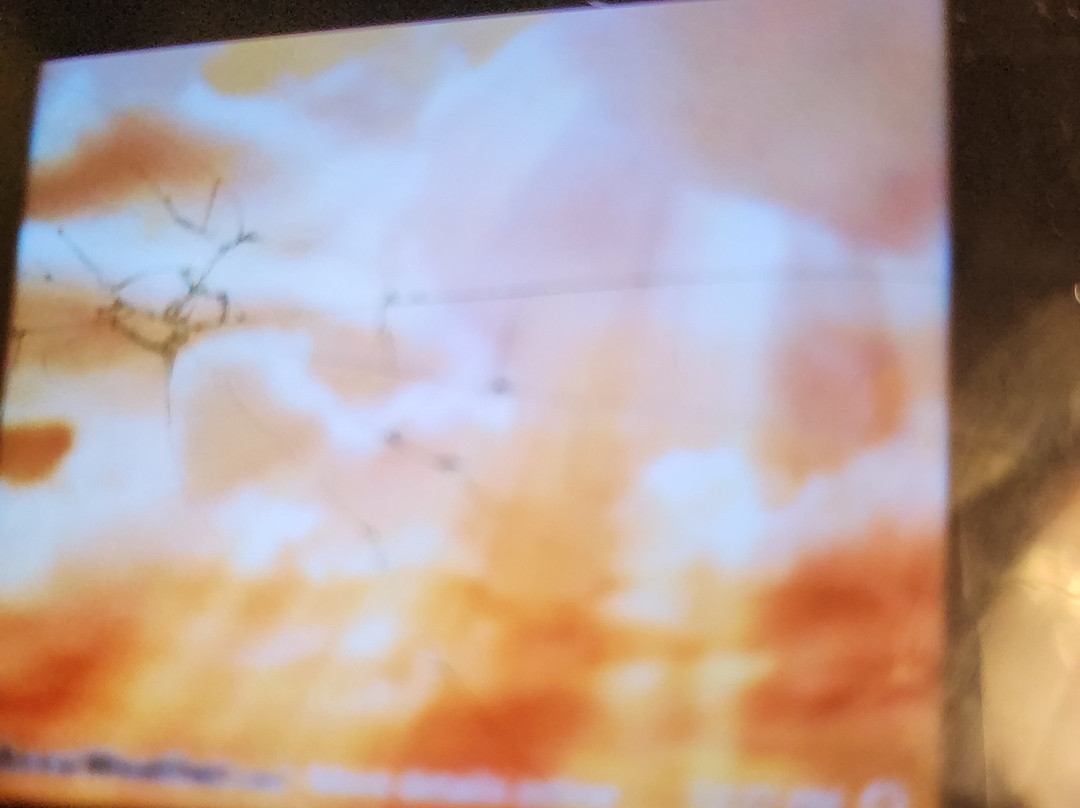 Dar Abdullah's Gallery-大马士革必去景点