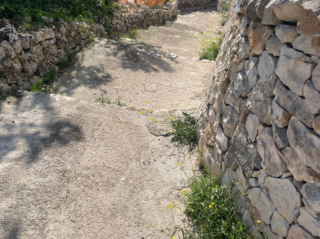 Apulia Bike Tours景点图片