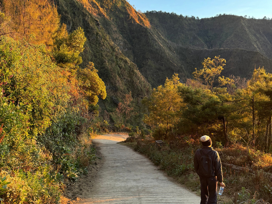 Ijen Bridge Tour景点图片