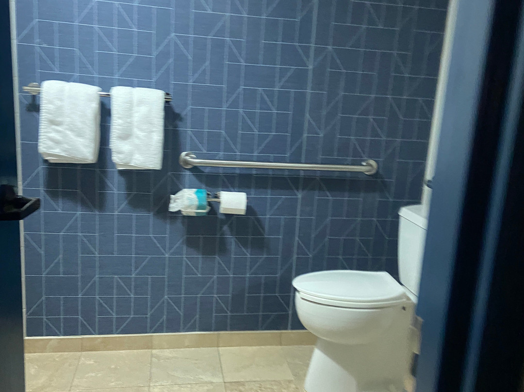 格林湾希尔顿恒庭酒店主图