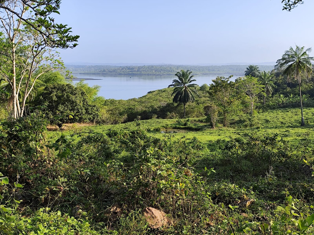 Fazenda Cassinum景点图片