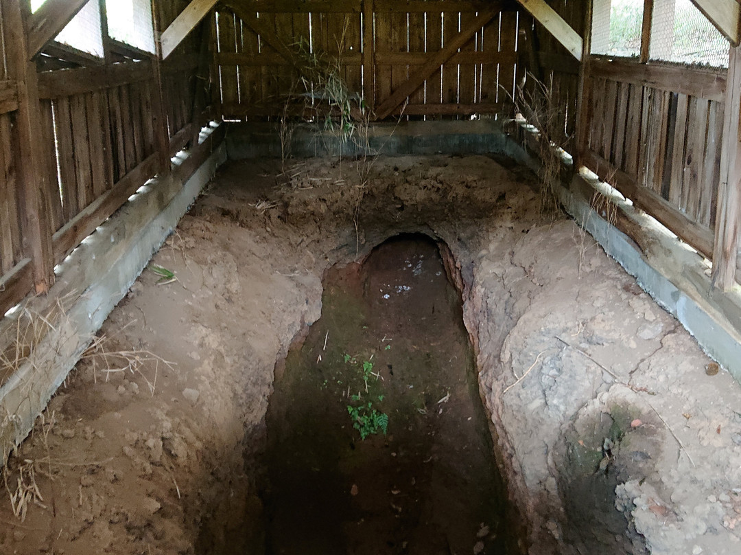 Hatoyamamachi Noson Park-鸠山町必去景点